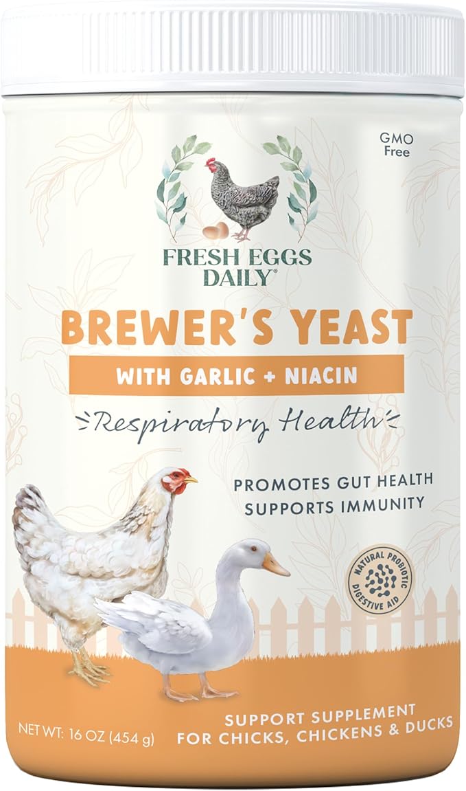 Fresh Eggs Daily Brewers Yeast Powder with Garlic & Niacin for Chicken & Duck Backyard Flocks - Suitable for Young Chicks & Ducklings - Supports Healthy Bone Development, Digestion & Immunity - 1lb