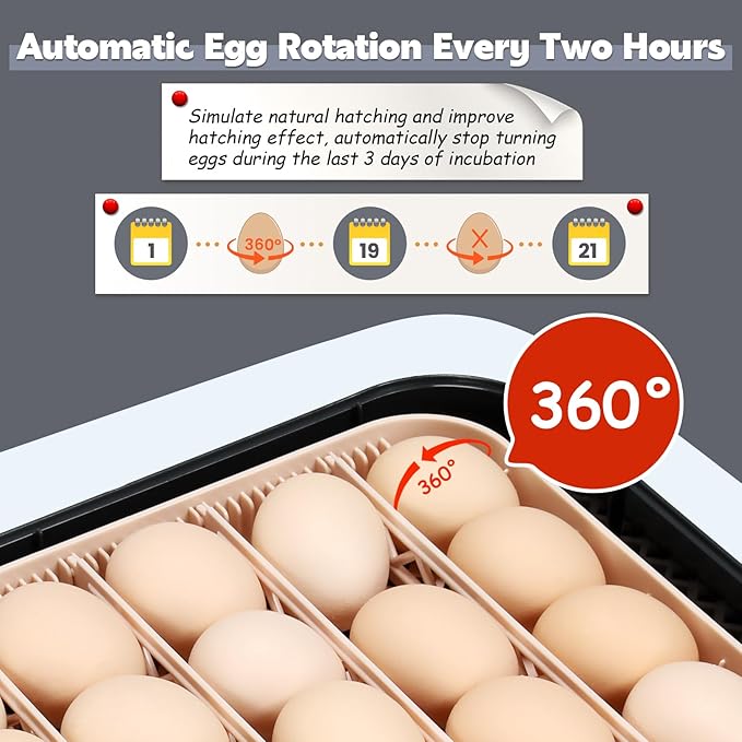 Sailnovo 56 Egg Incubator for Hatching Eggs with Automatic Egg Turning and Auto Humidification, Temperature Control, Egg Candler, Incubator for Chicken Eggs, Gray