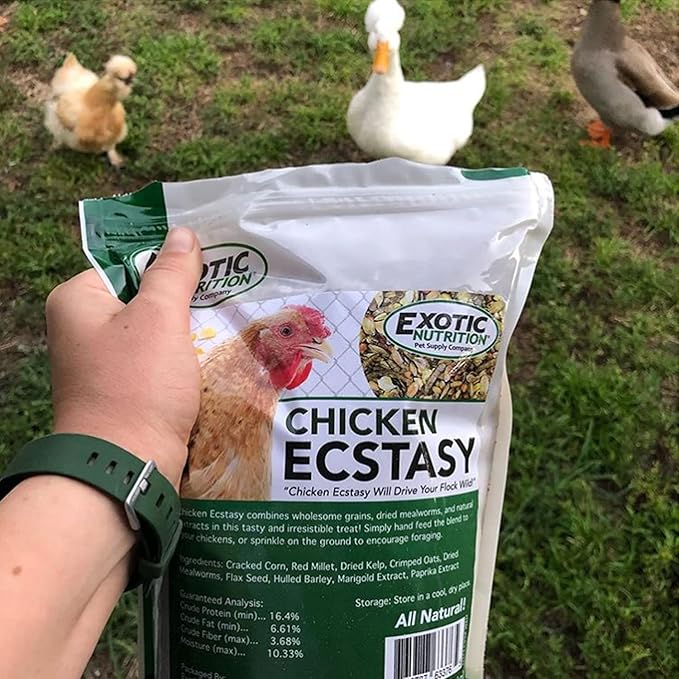 Chicken Ecstasy (3 lb) - Healthy All-Natural Backyard Chicken Feed - Natural Grains, Dried Mealworms & Natural Extracts - Promotes Healthy Chickens & Eggs