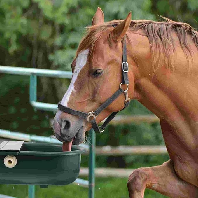 Plastic Automatic Water Bowl with Stainless Steel lid, Livestock Waterer for Cattle Horse Goat Sheep Dog, Water Trough Bowl with Float Valve (No Pipe)