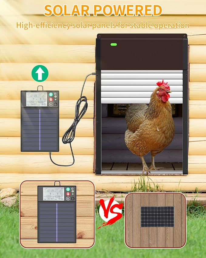 Large Automatic-Chicken-Coop-Door-Solar - Powered, LCD Display with Smart Timer, Light Sensor & Anti-Pinch Safety, Remote Control 4 Modes