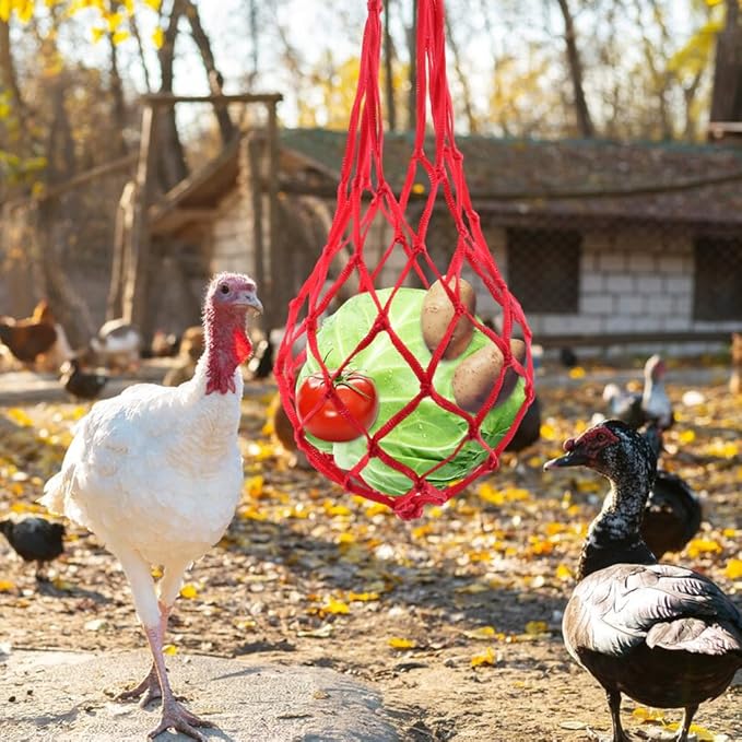 Balana 4pcs Chicken Vegetable String Bag Poultry Fruit Holder Chicken Cabbage Feeder Treat Feeding Tool with Hook for Poultry, Hens, Duck(Size:32g)