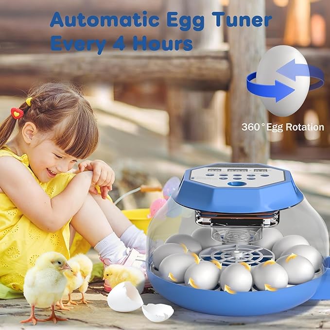 Automatic Egg Incubator with Turner & Humidity Control, 12-24 Egg Capacity, 360° View Clear Top, Poultry Hatcher for Chicken, Duck, Quail & Bird Eggs (E12 New)