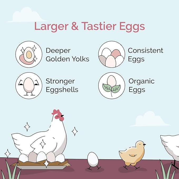 Mile Four Oyster Shell for Chickens (50 lbs) Calcium Supplement for Chickens, 100% Natural Limestone Calcium Carbonate, Strong Eggshell & Bone Boost