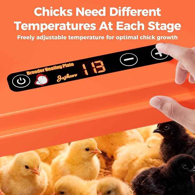 Chick Brooder Heating Plate with Anti-Stand Cone, 10" x 10" Brooder Heater for Chicks— Featuring Adjustable Temperature and Height Settings