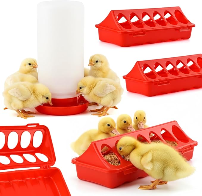 Chick Feeder and Waterer Kit,3×12-Hole Trough Feeders and 1 Low-Spill Chicks Waterer,Baby Chick Starter Kit for Small Poultry