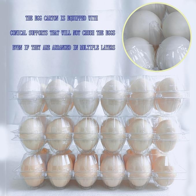 LSGENGXCY100packs Egg Cartons Cheap Bulk, 2 * 6 extra large Clear plastic egg cartons for Family, Farm, Markets, Display
