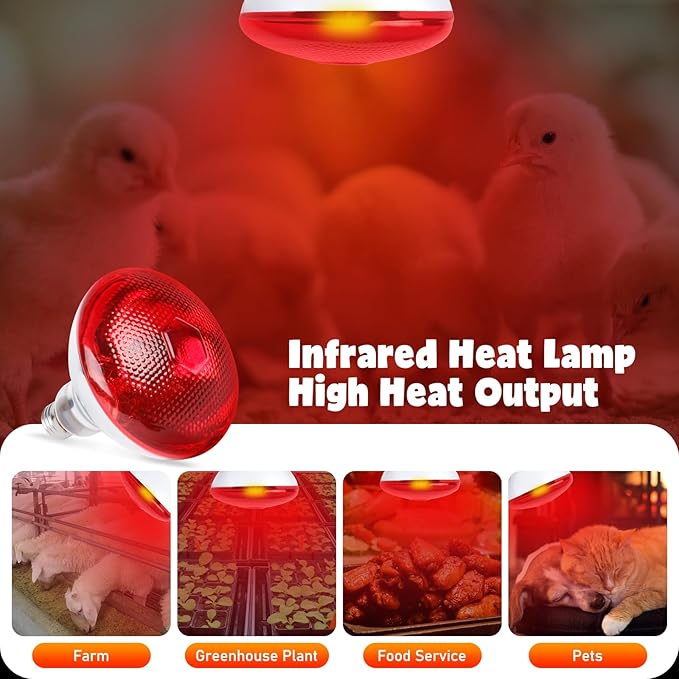 LUCKY HERP Heat Lamp Bulbs for Chickens, 150W Infrared Heat Lamp 1 Pack, Red Heat Lamp Bulbs for Reptiles, Pets, Brooder Coop and Poultry