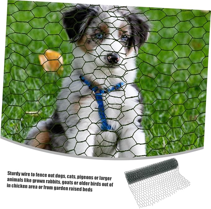 Galvanized Wire Mesh Poultry Fencing Electric Chicken Netting Coated Chicken Wire Netting for Coop