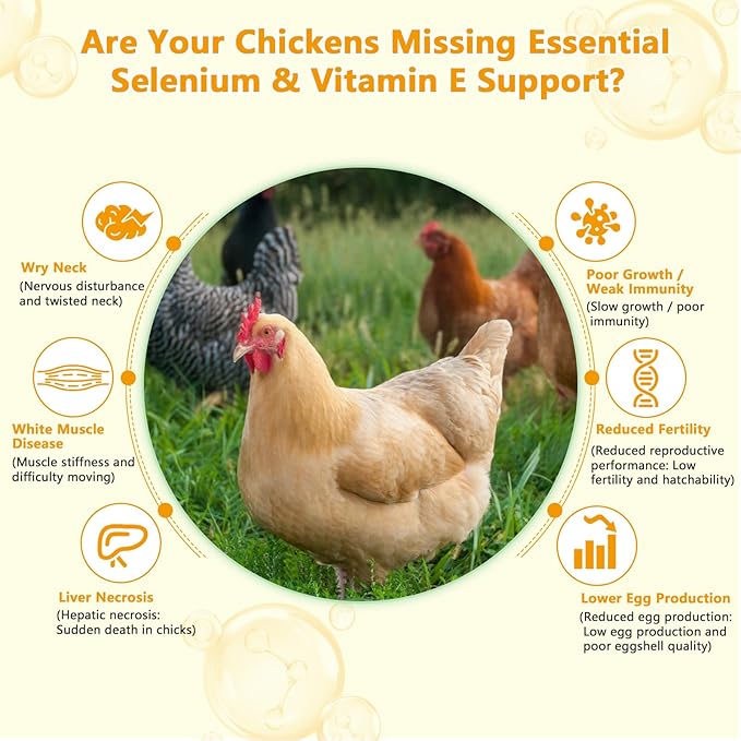 Selenium & Vitamin E Powder for Chickens | Poultry Nutrient Support Blend for Muscle Activity & Daily Balance | Feed Mix Additive for Chickens & All Poultry | 113g