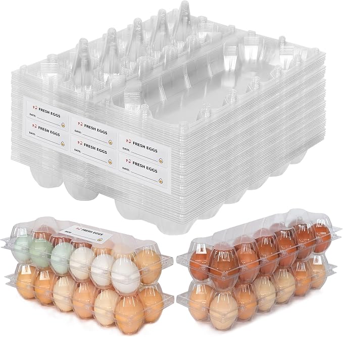 60 Packs 12 Count Clear Egg Cartons, 2 * 6 Grids Design, Perfect for Family, Farm, Markets, Display(Large)