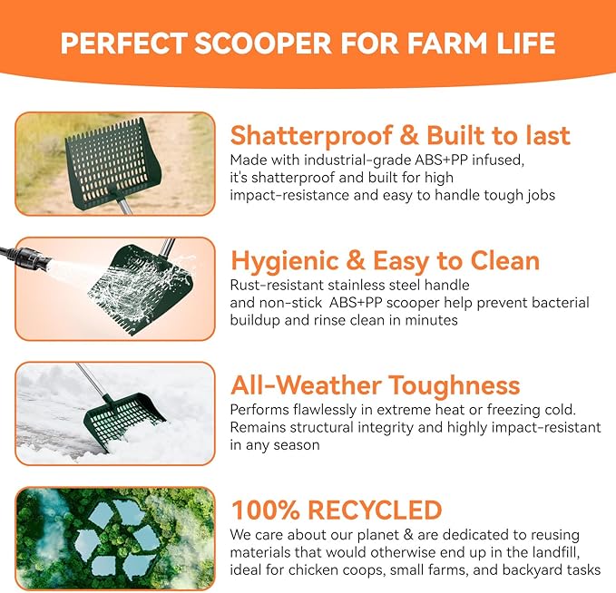Chicken Poop Scooper & Rake 2-in-1, Chicken Coop Accessories with 13in Wider PP Head & Adjustable Stainless Steel Handle, 33''-69'' Pooper Scooper Sand Sifting Shovel Litter for Small Farm Animals