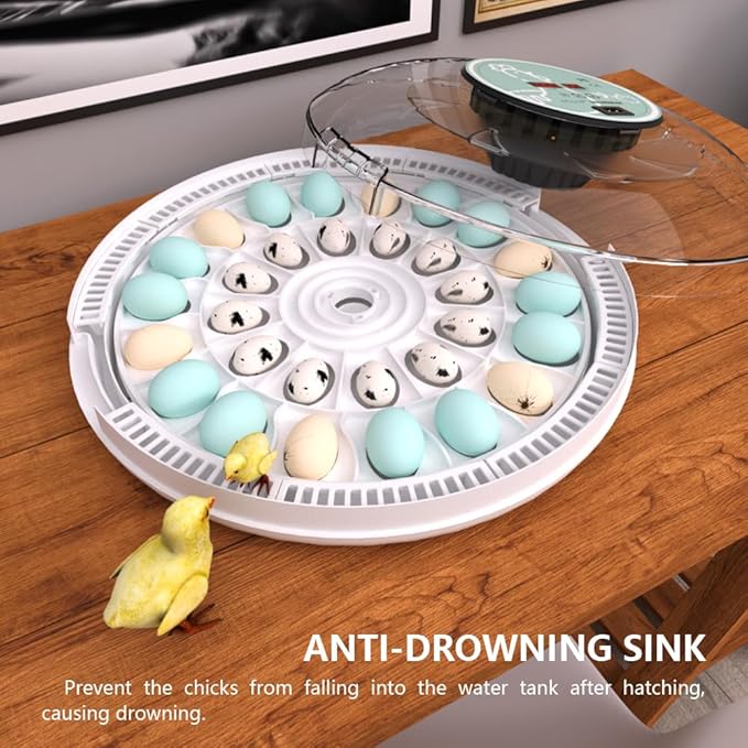 MeeF incubators for Hatching Eggs,Automatic 30 Eggs Incubator with Automatic Turner and Humidity Control, can Hatch Duck Eggs, Pigeon Eggs, Bird Eggs,Quail Eggs and 15 Goose Eggs