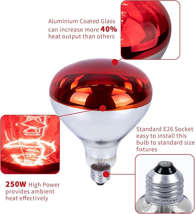 250 Watt Red Heat Lamp Bulbs, Chicken Infrared Incandescent Light Bulb, Brooder Heat Lamps for Chickens, Chicks, Reptile, Pets, Coop, Poultry, Food, Bathroom, Ceiling, E26 Base - 2 Pack