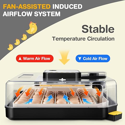Sailnovo 48 Egg Incubator for Hatching Eggs with Precise Temp & Humidity Control,Auto Egg Turning, 360°Viewing, Egg Candler,Incubator for Chicken Eggs/Duck/Quail/Turkey,Ideal for Farm/School/Lab,Grey
