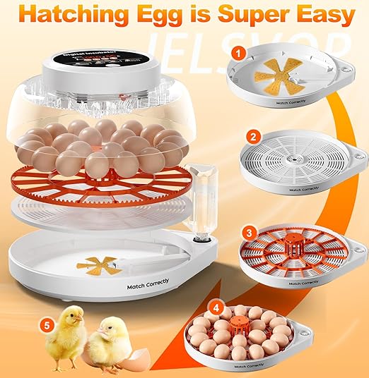 Upgraded Egg Incubator for Hatching Eggs, 12 Egg Capacity with Automatic Egg Turner, Temperature & Humidity Control, LED Egg Candler, Chick Incubator for Chicken, Duck & Quail Eggs