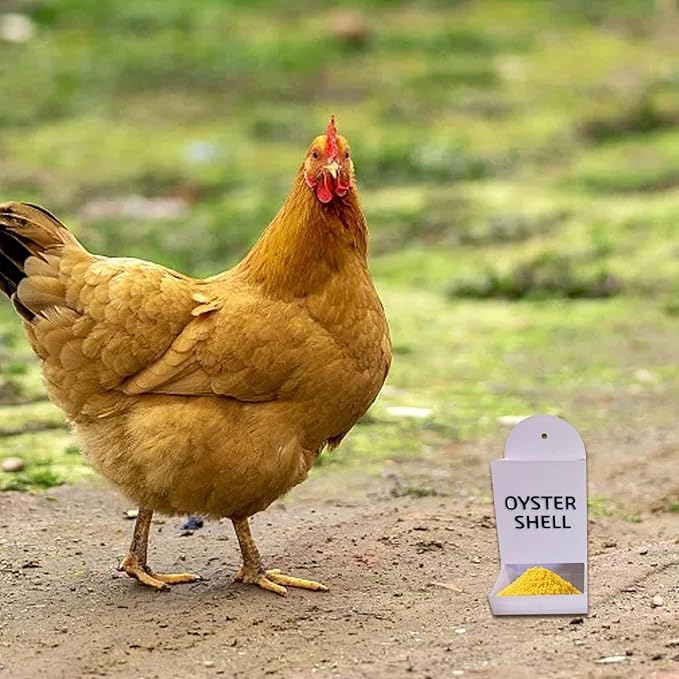 Gravel Feeder - Oyster Shell and Grit Feeder, Versatile Oyster Shell Feeders for Chickens,Hanging Chicken Feeders Trough,Precision Nutrition, Chickens Coop Accessories for Poultry (White)