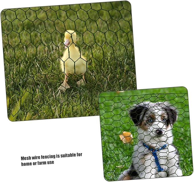 Galvanized Wire Mesh Poultry Fencing Electric Chicken Netting Coated Chicken Wire Netting for Coop