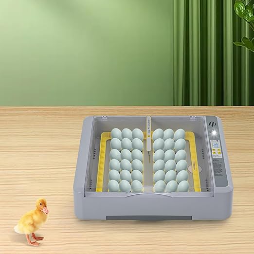 Eggs Automatic Incubator, 195V 70W Fully Automatic Egg Hatching Incubator 36 Eggs Incubator Poultry Hatcher w/Automatic Turning & Temperature for Hatching Duck & Goose Eggs (36 Eggs)