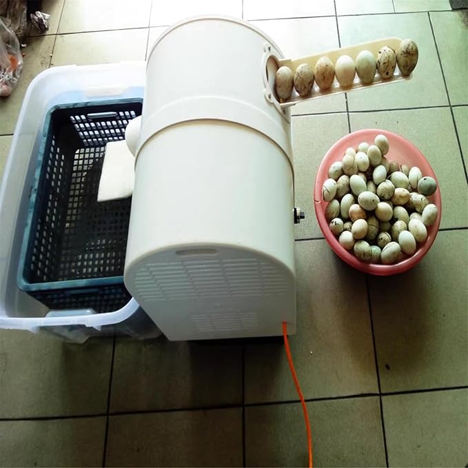 NYMFEA Automatic Egg Cleaning Machine, 120W, Commercial Chicken Duck Goose Egg Brushing Machine, ABS Body, Nylon Brush, 220V