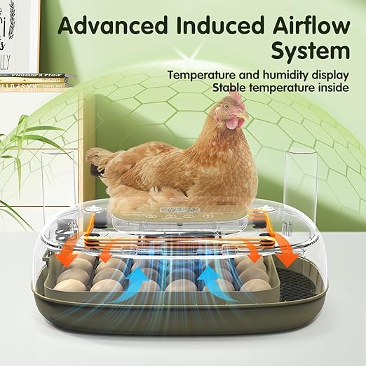 24 Egg Incubator with Automatic Turning, Temperature and Humidity Control, LED Egg Candler, and Auto Water Addition, for Hatching Chicken, Goose, Duck, Quail, Pigeon, and Turkey Eggs