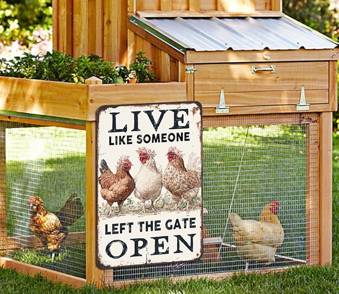 Chiken Gifts Funny Chicken Metal Sign For Home Chicken Decor Coop Rooster Decorations Farm Kitchen Chicken Wall Stuff 8x12 Inches Live Like Someone Left The Gate Open Tin Sign