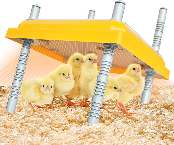 Brooder Heater for Chick Brooder Heating Plate with Easy Cleaning Plate Poulty Coop Heater Chicks Warmer 10 x 10 Inch for 15 Chicks Adjustable Height 15 Watts Chicken Duckling Quail