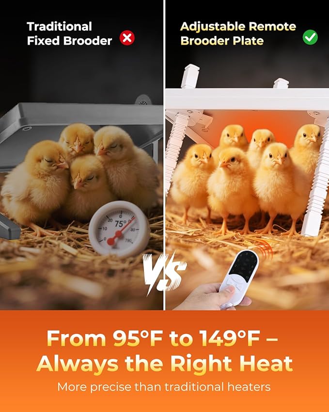 12"x12" Chick Heat Plate | Adjustable Height Angle | Remote Precise Temp Control | 30W Low-Energy Heater | Stable Anti-Tip Frame | Suitable for Up to 20 Chicks & Indoor Brooding