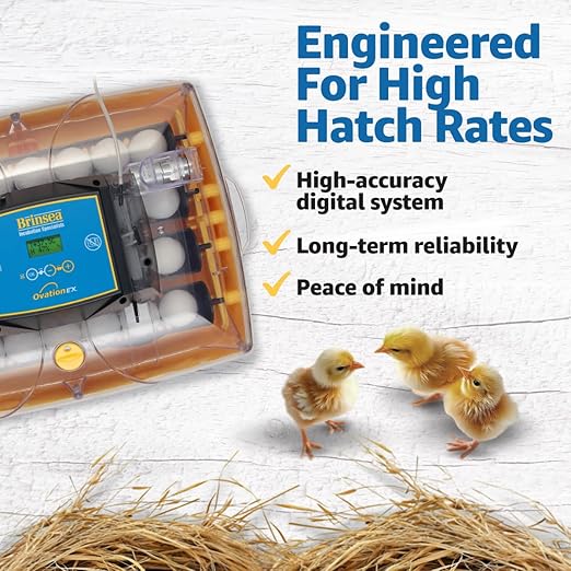 Brinsea Ovation 28 EX Incubator for Hatching Eggs with Automatic Humidity Control - Fully Automatic Chicken Egg Incubator with Digital Display - Holds Quail Duck and Turkey