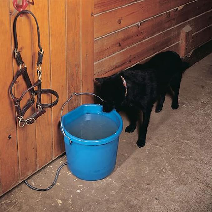 API® Heated Bucket | Heated Flat Back Bucket | Water Pail with Warmer for Cattle, Livestock, and Horses | Winter No Freeze Tub (20 Quart, 1 Count)