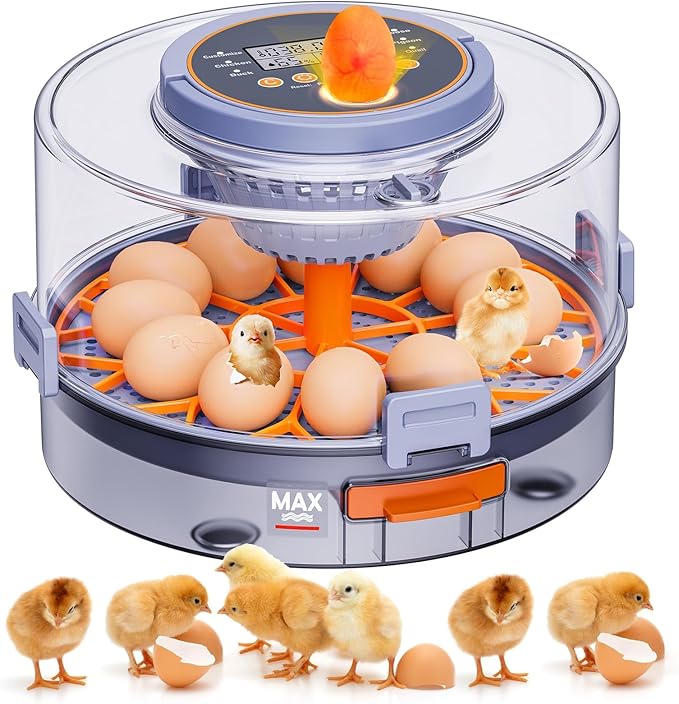 Automatic Egg Incubators for Hatching Eggs, 12 Egg Incubator with Automatic Egg Turning and Humidity Control, Egg Candler, 360° Viewing, Chicken Incubators for Hatching Chick, Duck, Quail, Goose Eggs