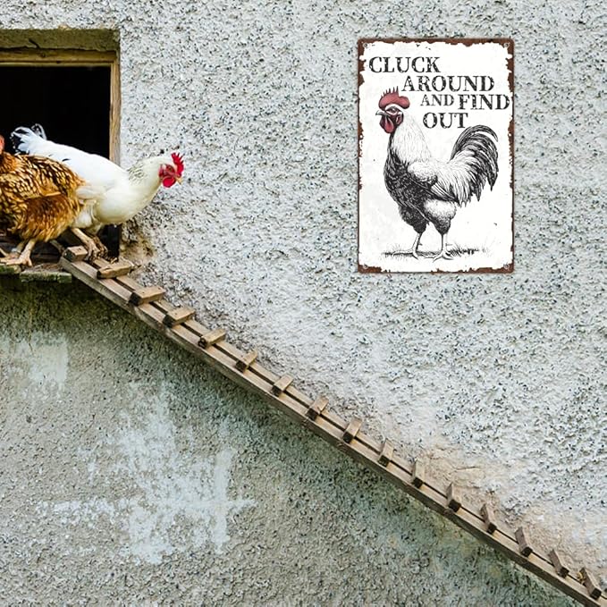 Vintage Chicken Coop Metal Tin Sign Farmhouse Decor Chicken Around And Find Out Funny Rustic Decoration For Home Kitchen Farm Backyard Garden 8 x 12 Inch