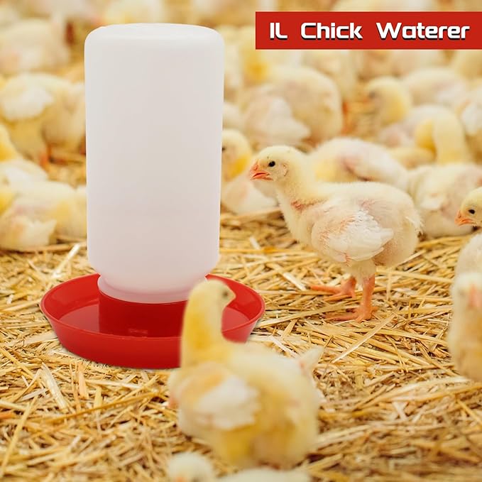 Chicken Feeder and Waterer kit-Flip Top Chick Feeder with 12 Feeding Hole and 1 L Plastic Waterer,Baby Chick Starter Kit for Small Poultry