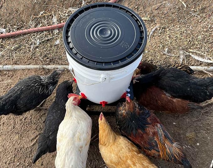Noble Nest 5 gal. Incubator with 5 Nipple Side Waterer and Black Stand