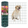 Green PVC Coated Welded Wire Fence 24 Inch x 50 Foot, 2 Inch x 3 Inch 16GA, Garden Border Fencing Roll Vinyl Coating Metal Wire Mesh for Yard Vegetable Plant Protection Poultry Netting