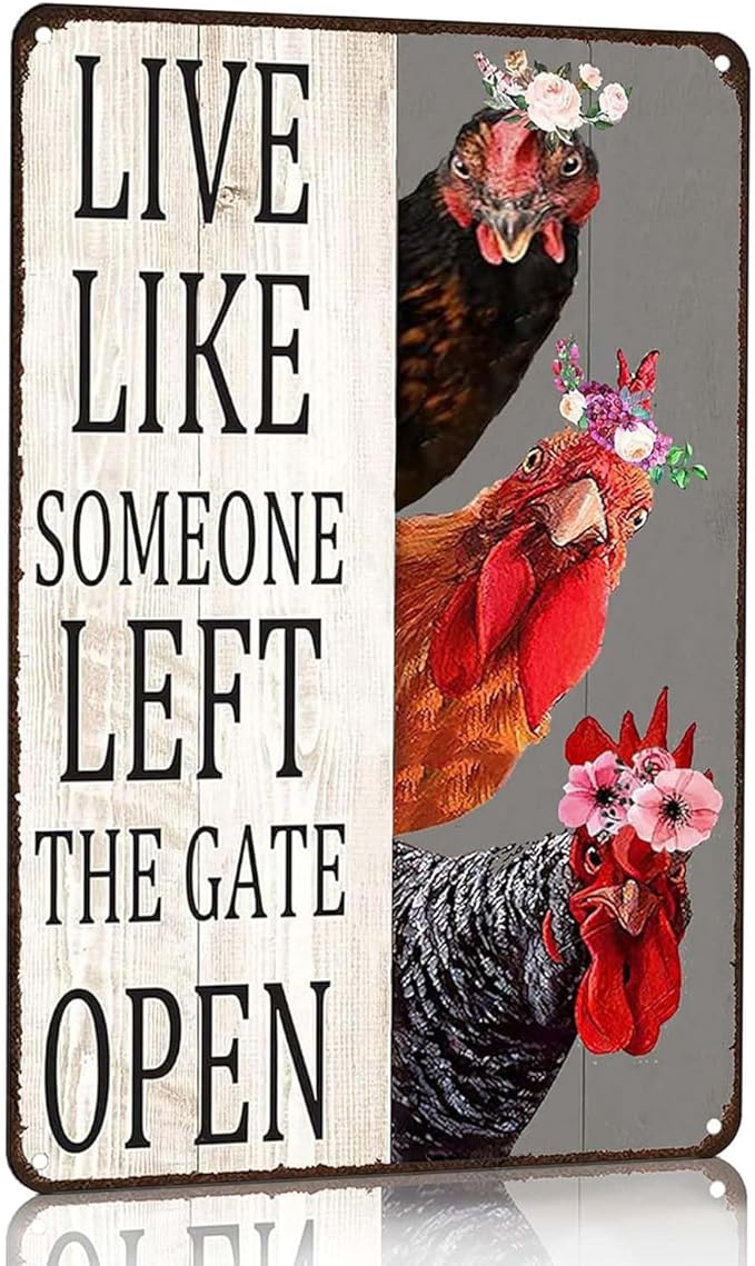 Funny Chicken Sign "Cluck Around and Find Out" - 8x12 Inch Vintage Tin Poster for Farmhouse Kitchen, Chicken Coop Wall Decor, Garden, Bar, Man Cave - Unique Gifts for Chicken Lovers & Farmers
