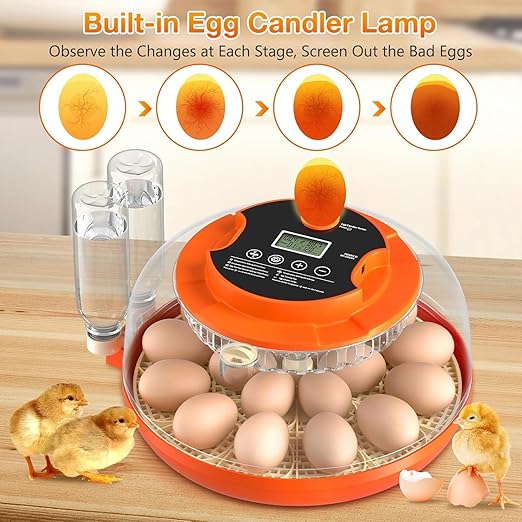 18 Egg Incubator with Automatic Egg Turning and Humidity Control, Eggs Incubators for Hatching Eggs Chicken Quail Ducks Goose Parrot for Home Classroom Lab Farm