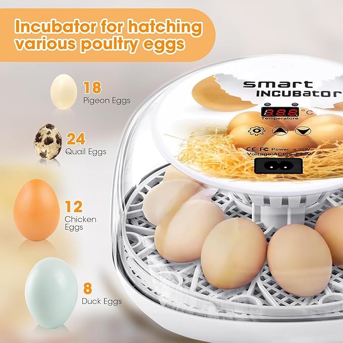 Incubators for Hatching Eggs, Chicken Waterer Cups, Automatic Egg Turner Holds 12 Eggs, Smart Incubator 360° Clear Window with Temperature Display Egg Candler for Small Poultry Chickens Ducks Quails