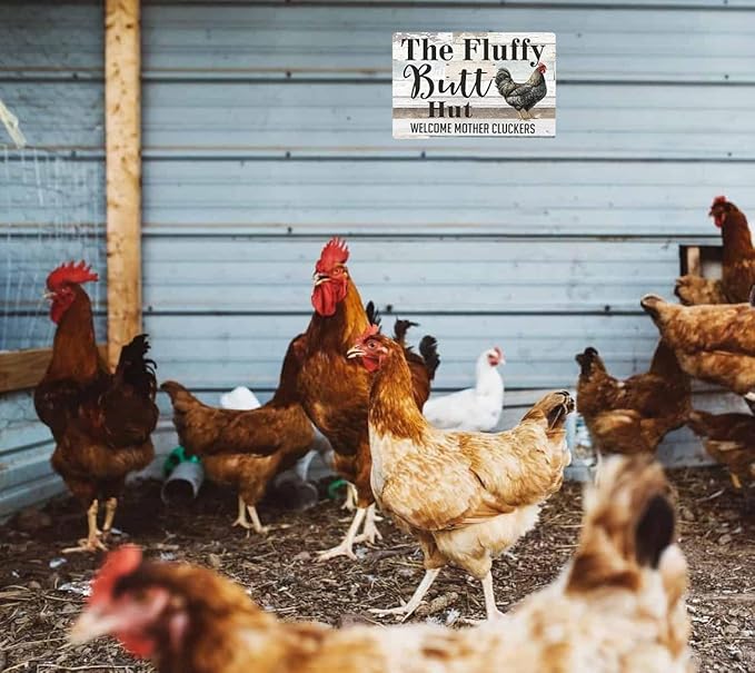 Funny Chicken Gifts Chicken The Fluffy Butt Hut Tin Sign for Home Farm Chicken Coop Farmhouse Kitchen Garden Decor 8 X 12 Inch (3820)