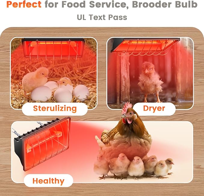 Chicken Coop Heat Lamp, 300W Brooder Heater for Chicks 9.84ft Cord UL Passed Heating Plate & Heat Lamp with Adjustable Hanging Height for Livestock Supplies Indoor Warmer(2 Pack)