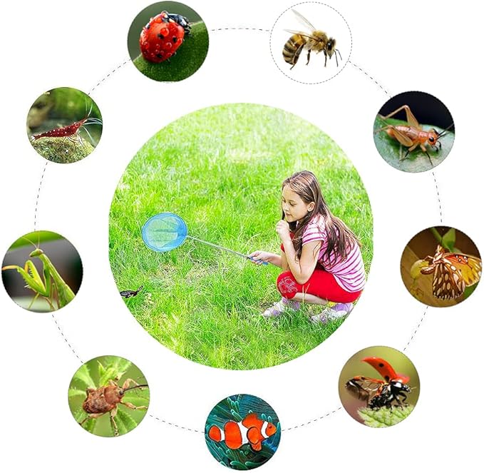 Insect and Butterfly Net,Outdoor Toys Telescopic Fishing Nets Bug Net Beach Toys Outdoor Tools Nets Anti Slip Caterpillar Ladybird Nets(5 PCS)