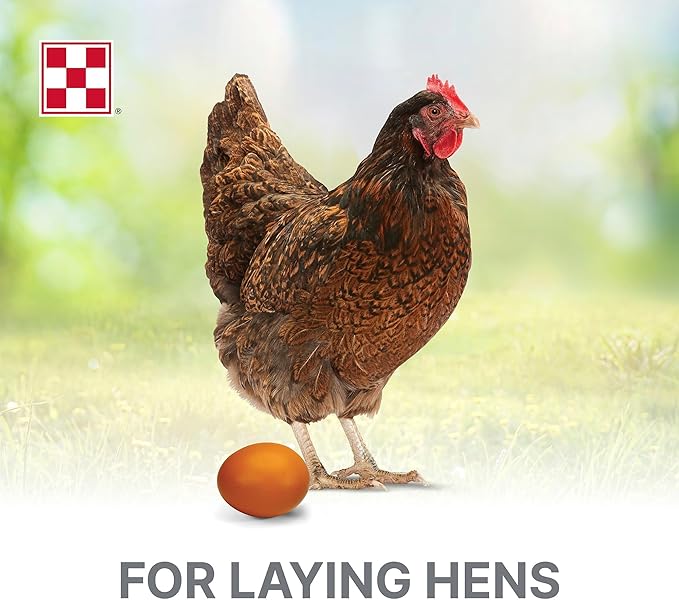 Purina | Layena Pearls Poultry Feed (6 LB)
