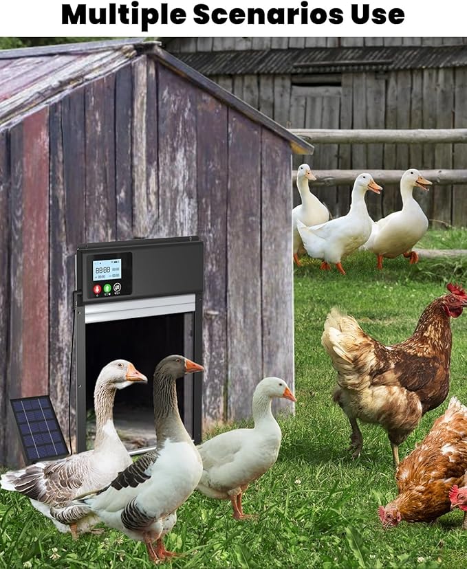 2025 Upgraded Solar Powered Automatic Chicken Door, WiFi Remote Control Chicken Coop Door, with LCD Display & Timer & Light Sensor, Chicken Door with Anti-Pinch Design