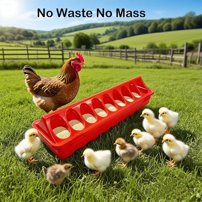 8 Pack Plastic Flip Top Chick Feeders Chicken Feeding Tray Poultry Quail Feeder Drinkder with Hole Trough Tool for Farm Chick Bird Pigeon Ducks Small Chick Grit FeeDuckling Feeder and Waterer Set