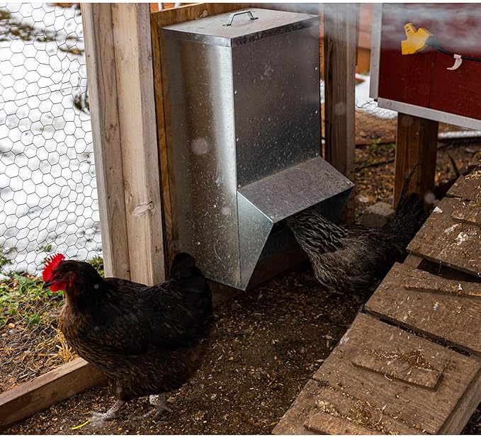 vensovo Galvanized Chicken Feeder - 25Lbs Outdoor Waterproof Metal Feeder with Lid, Coop Food Dispenser No Waste for Chicken, Haning or Stand