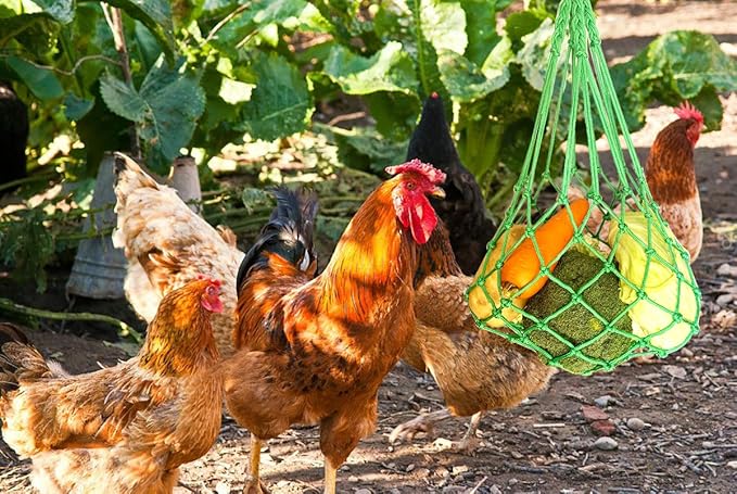 Chicken Vegetable String Bag Poultry Fruit Holder Chicken Cabbage Feeder Treat Feeding Tool with Hook for Hens Chicken Coop Toy for Hen Goose Duck