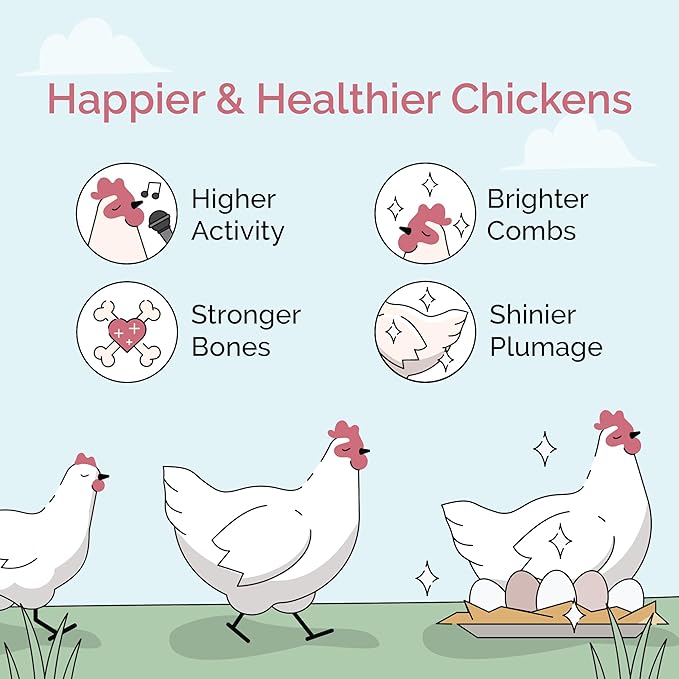 Mile Four Organic Chicken Feed – Grower Whole Grain, Non-GMO, USA Grown, 18% Protein, Corn-Free, Soy-Free, Non-Medicated Feed for Chickens, 2 lb Sample