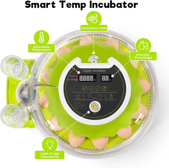 18 Egg Incubator with Automatic Turning & Humidity Control, 0.1 Precision for Chicken/Duck/Goose/Quail/Parrot Eggs (Green)