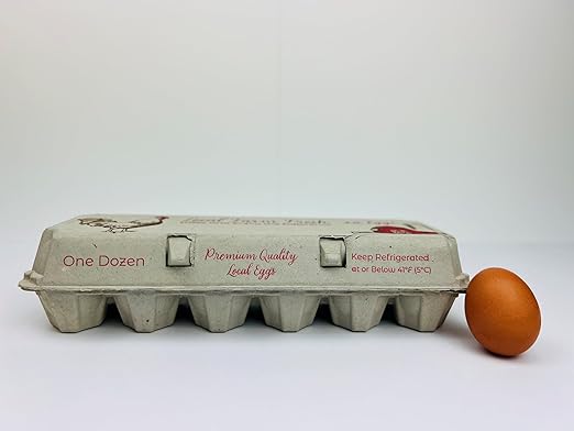 12 Count Egg Cartons - Printed Red/Brown - Recycled Paper Pulp, Solid Top Style for Chicken Eggs - Made in USA