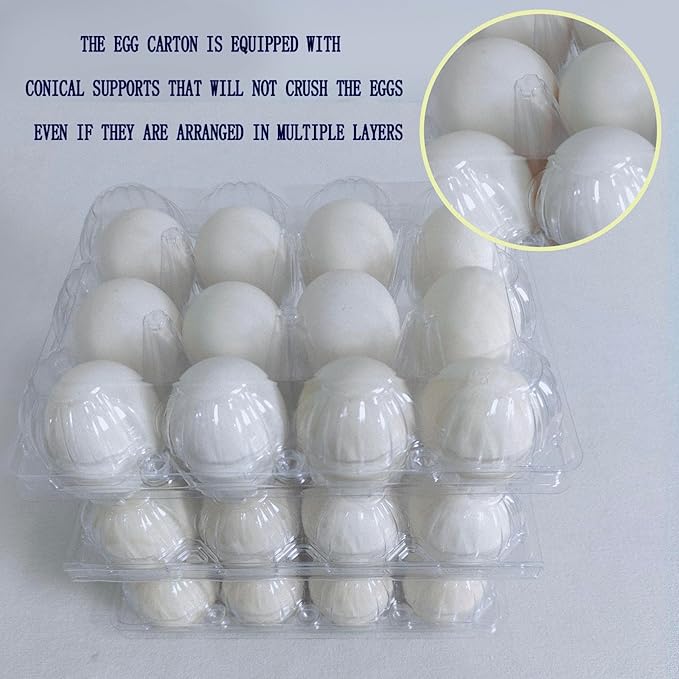 100 packs Egg Cartons Cheap Bulk, 3 * 4 extra large Clear plastic egg cartons for Family, Farm, Markets, Display